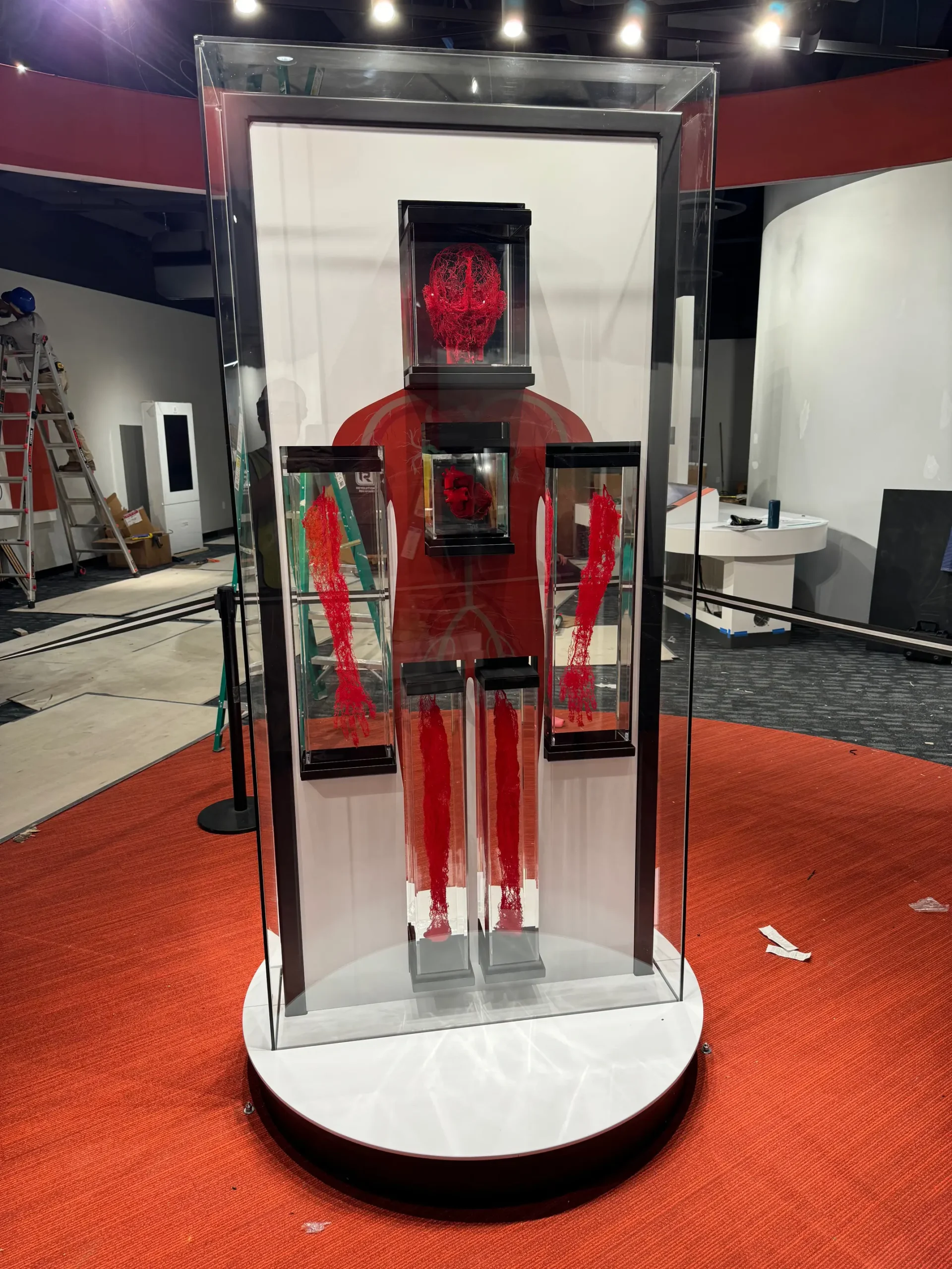 Di Vinci Science Center 6